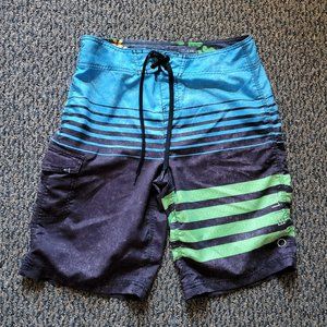O'Neill Hybrid Lanai Blue Green Striped  Board Shorts Size 30